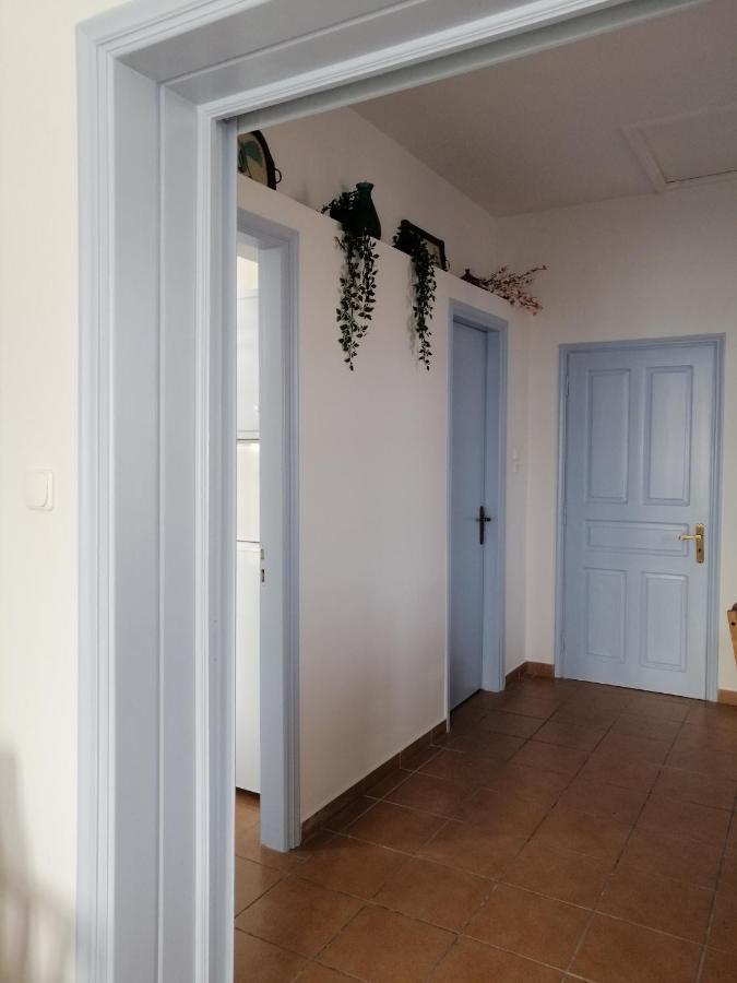 Aegina Port Apt 2-Διαμέρισμα Στο Λιμάνι Της Αίγινας 2 Экстерьер фото