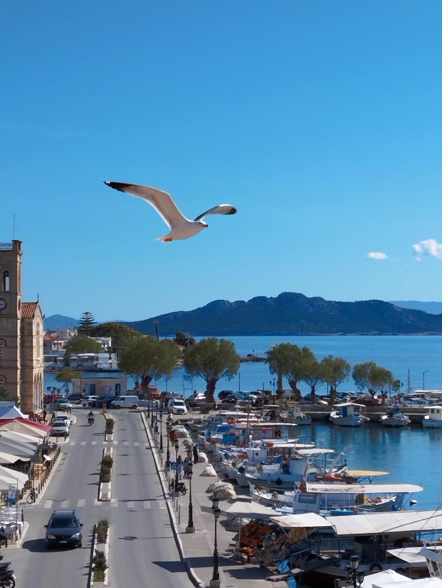 Aegina Port Apt 2-Διαμέρισμα Στο Λιμάνι Της Αίγινας 2 Экстерьер фото